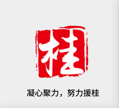 聚焦产业，努力援桂